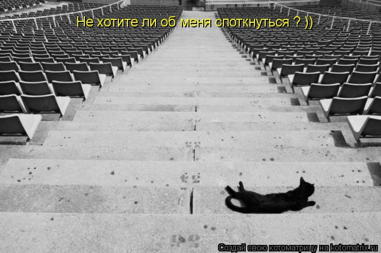 Котоматрица: Не хотите ли об меня споткнуться ? ))