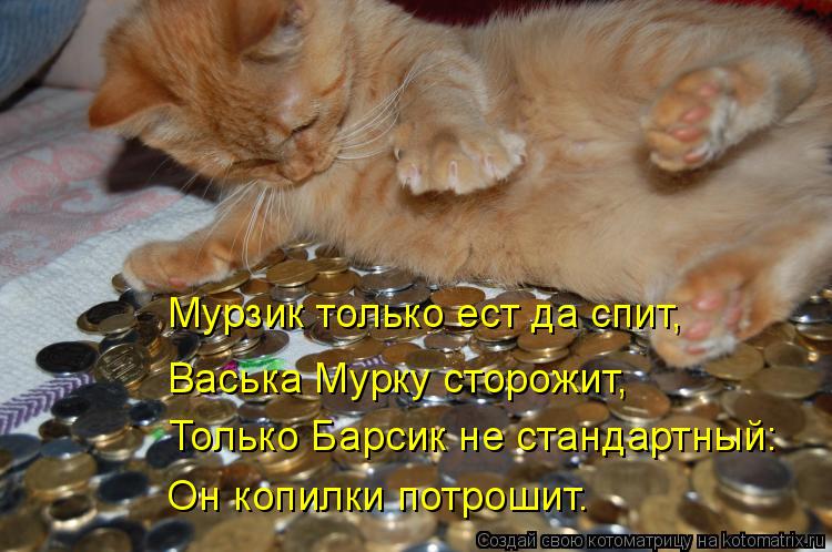 Котоматрица: Мурзик только ест да спит, Васька Мурку сторожит, Только Барсик не стандартный: Он копилки потрошит.