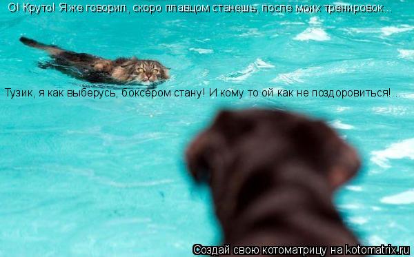 О! Круто! Я же говорил, скоро плавцом станешь, после моих тренировок... Тузик, я как выберусь, боксёр... Котоматрица: О! Круто! Я же говорил, скоро плавцом станешь, после моих тренировок... Тузик, я как выберусь, боксёром стану! И кому то ой как не поздоровиться