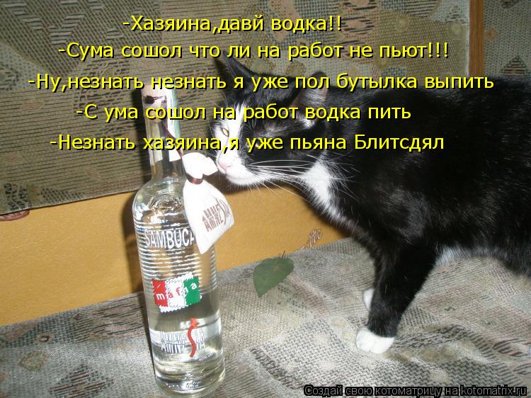 Котоматрица: -Хазяина,давй водка!! -Сума сошол что ли на работ не пьют!!! -Ну,незнать незнать я уже пол бутылка выпить -С ума сошол на работ водка пить -Незна