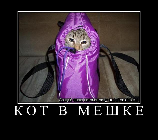 Кот в мешке ... Котоматрица: Кот в мешке