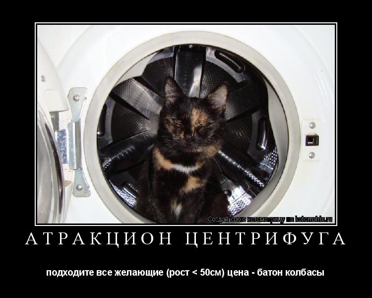 АТРАКЦИОН ЦЕНТРИФУГА подходите все желающие (рост < 50см) цена - батон колбасы... Котоматрица: АТРАКЦИОН ЦЕНТРИФУГА подходите все желающие (рост < 50см) цена - батон колбасы