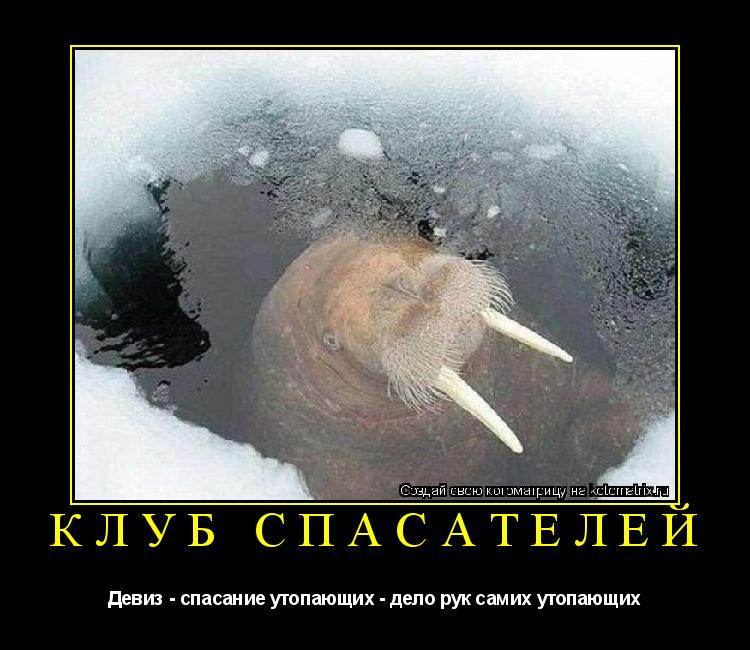 КЛУБ СПАСАТЕЛЕЙ Девиз - спасание утопающих - дело рук самих утопающих... Котоматрица: КЛУБ СПАСАТЕЛЕЙ Девиз - спасание утопающих - дело рук самих утопающих