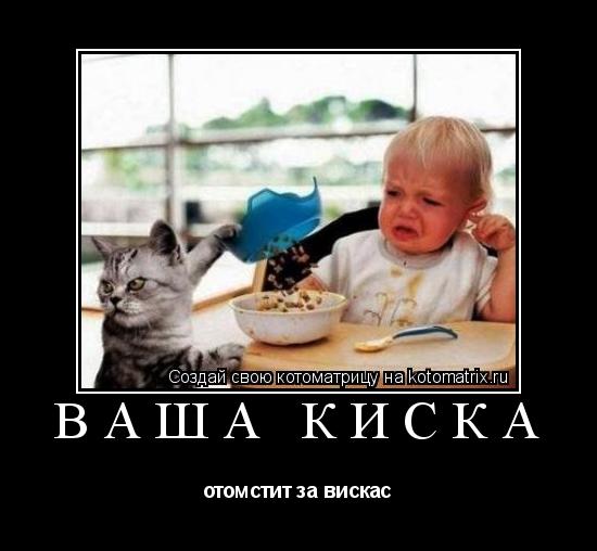 Ваша киска отомстит за вискас... Котоматрица: Ваша киска отомстит за вискас