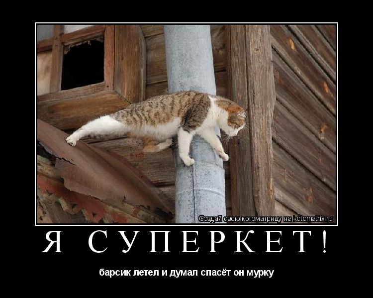 я суперкет! барсик летел и думал спасёт он мурку... Котоматрица: я суперкет! барсик летел и думал спасёт он мурку