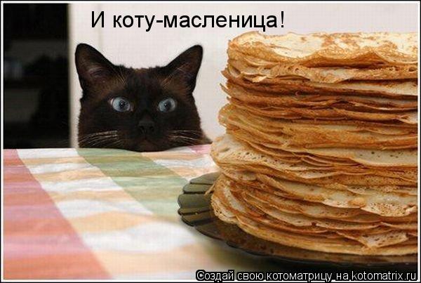 Котоматрица: И коту-масленица!