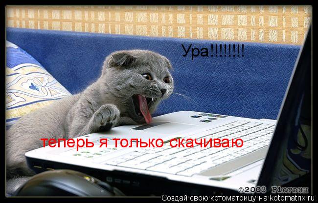 Котоматрица: Ура!!!!!!!! теперь я только скачиваю