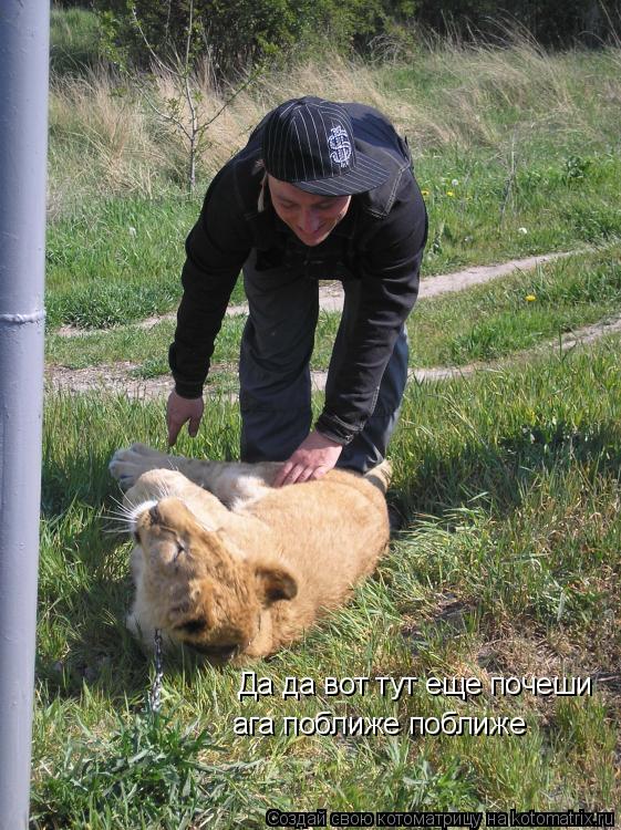 Котоматрица: Да да вот тут еще почеши ага поближе поближе