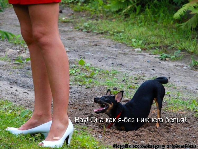 Котоматрица: Вау! Она как я-без нижнего белья!