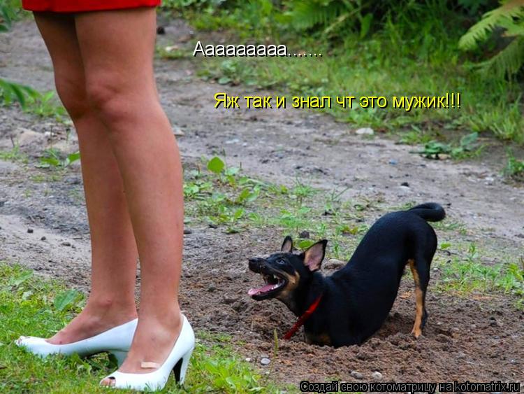 Ааааааааа....... Яж так и знал чт это мужик!!!... Котоматрица: Ааааааааа....... Яж так и знал чт это мужик!!!