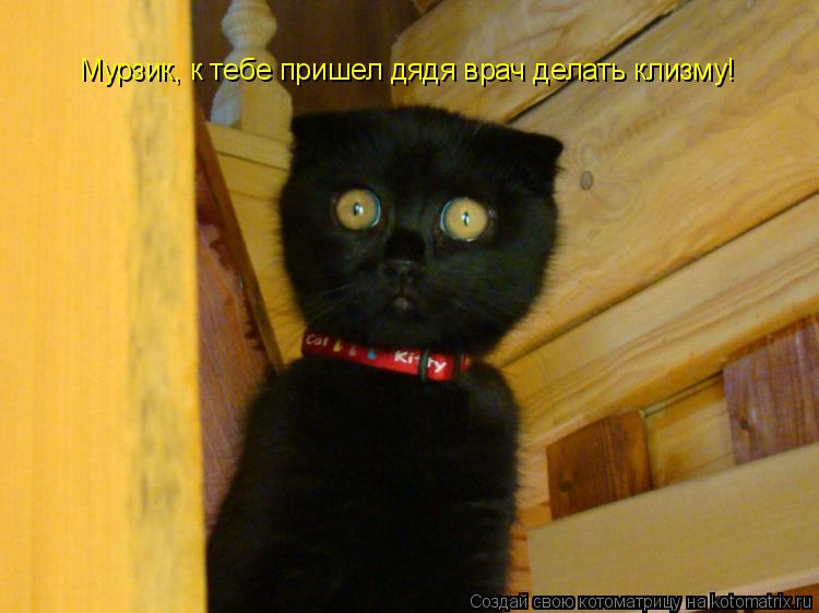 Мурзик, к тебе пришел дядя врач делать клизму!... Котоматрица: Мурзик, к тебе пришел дядя врач делать клизму!