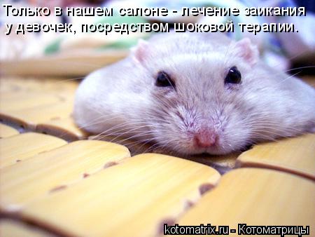 Только в нашем салоне - лечение заикания у девочек, посредством шоковой терапии.... Котоматрица: Только в нашем салоне - лечение заикания у девочек, посредством шоковой терапии.