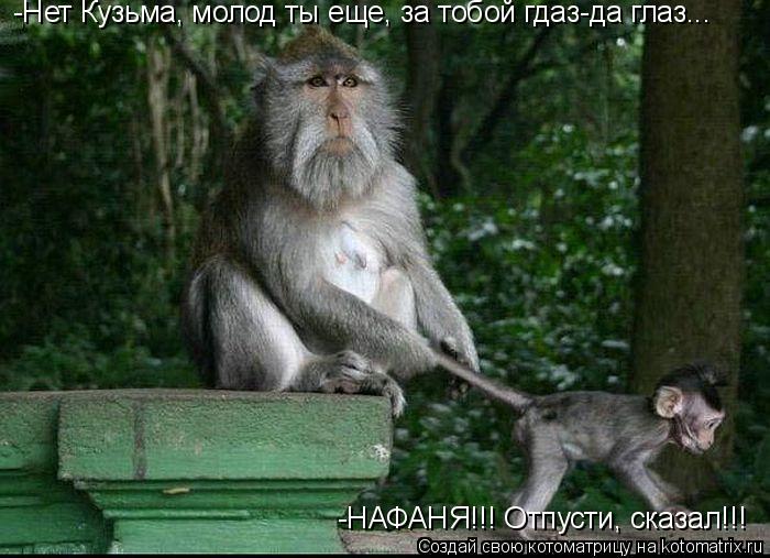 -НАФАНЯ!!! Отпусти, сказал!!! -Нет Кузьма, молод ты еще, за тобой гдаз-да глаз...... Котоматрица: -НАФАНЯ!!! Отпусти, сказал!!! -Нет Кузьма, молод ты еще, за тобой гдаз-да глаз...