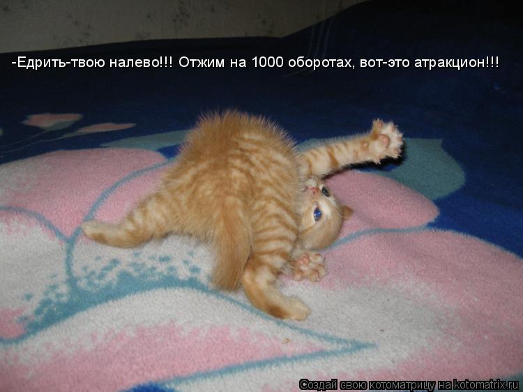 -Едрить-твою налево!!! Отжим на 1000 оборотах, вот-это атракцион!!!... Котоматрица: -Едрить-твою налево!!! Отжим на 1000 оборотах, вот-это атракцион!!!