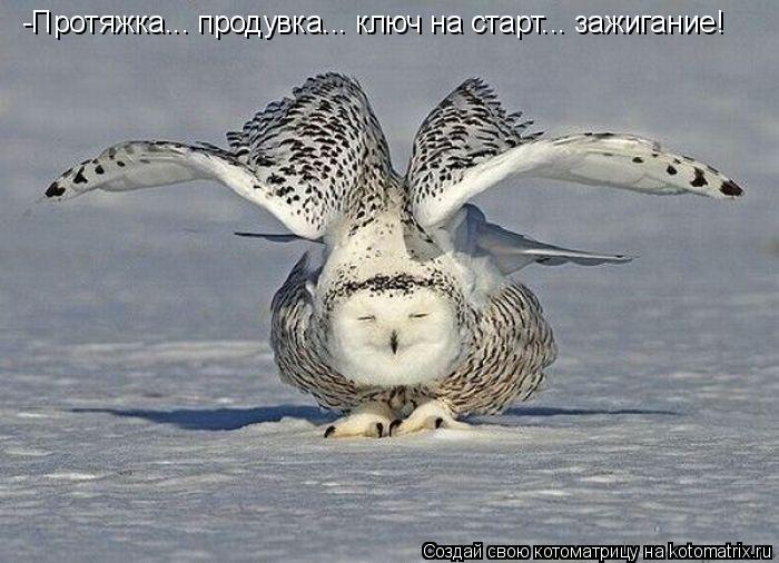 -Протяжка... продувка... ключ на старт... зажигание!... Котоматрица: -Протяжка... продувка... ключ на старт... зажигание!