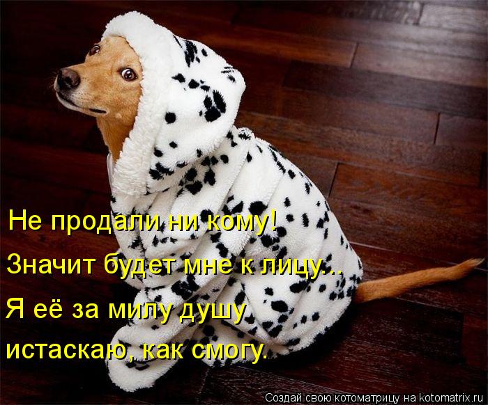 Не продали ни кому! Значит будет мне к лицу... Я её за милу душу истаскаю, как смогу.... Котоматрица: Не продали ни кому! Значит будет мне к лицу... Я её за милу душу истаскаю, как смогу.