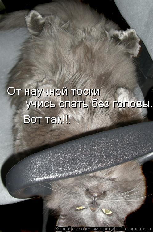 От научной тоски учись спать без головы. Вот так!!!... Котоматрица: От научной тоски учись спать без головы. Вот так!!!