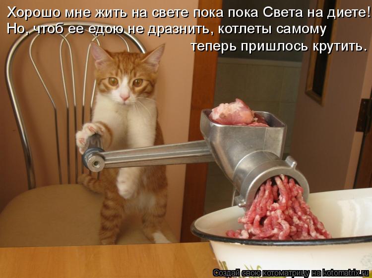 Хорошо мне жить на свете пока пока Света на диете! Но, чтоб ее едою не дразнить, котлеты самому тепер... Котоматрица: Хорошо мне жить на свете пока пока Света на диете! Но, чтоб ее едою не дразнить, котлеты самому теперь пришлось крутить.