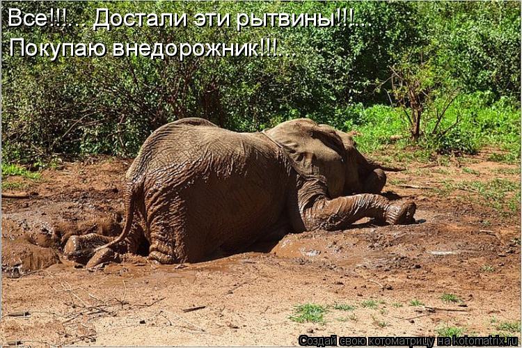 Все!!!... Достали эти рытвины!!!... Покупаю внедорожник!!!...... Котоматрица: Все!!!... Достали эти рытвины!!!... Покупаю внедорожник!!!...
