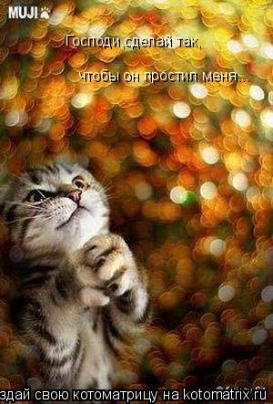 Господи,сделай так, чтобы он простил меня...... Котоматрица: Господи,сделай так, чтобы он простил меня...