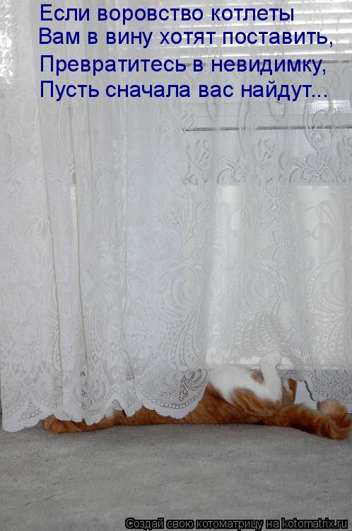 Если воровство котлеты Вам в вину хотят поставить, Превратитесь в невидимку, Пусть сначала вас найду... Котоматрица: Если воровство котлеты Вам в вину хотят поставить, Превратитесь в невидимку, Пусть сначала вас найдут...