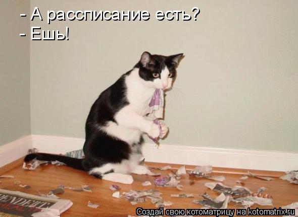 - А рассписание есть? - Ешь!... Котоматрица: - А рассписание есть? - Ешь!