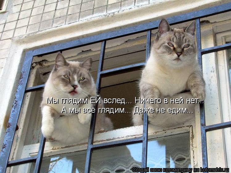 Мы глядим ЕЙ вслед... Ничего в ней нет... А мы всё глядим... Даже не едим...... Котоматрица: Мы глядим ЕЙ вслед... Ничего в ней нет... А мы всё глядим... Даже не едим...