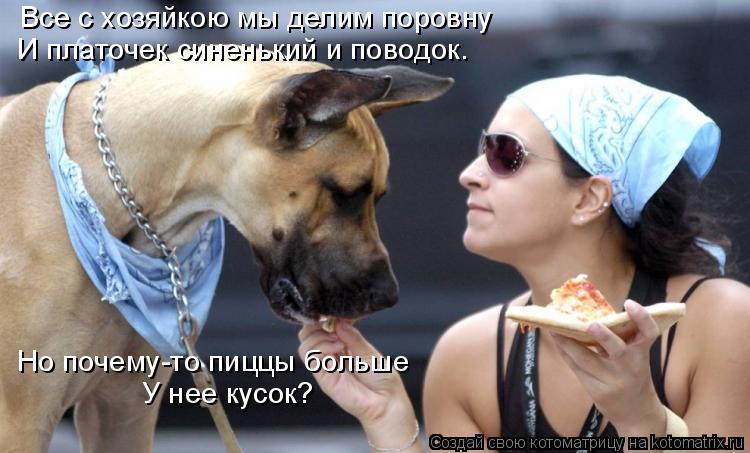 Все с хозяйкою мы делим поровну И платочек синенький и поводок. Но почему-то пиццы больше У нее кусок... Котоматрица: Все с хозяйкою мы делим поровну И платочек синенький и поводок. Но почему-то пиццы больше У нее кусок?