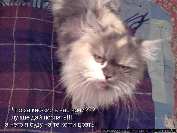 Что за кис-кис в час ночи??? лучше дай поспать!!! а нето я буду на те когти драть!!... Котоматрица: Что за кис-кис в час ночи??? лучше дай поспать!!! а нето я буду на те когти драть!!