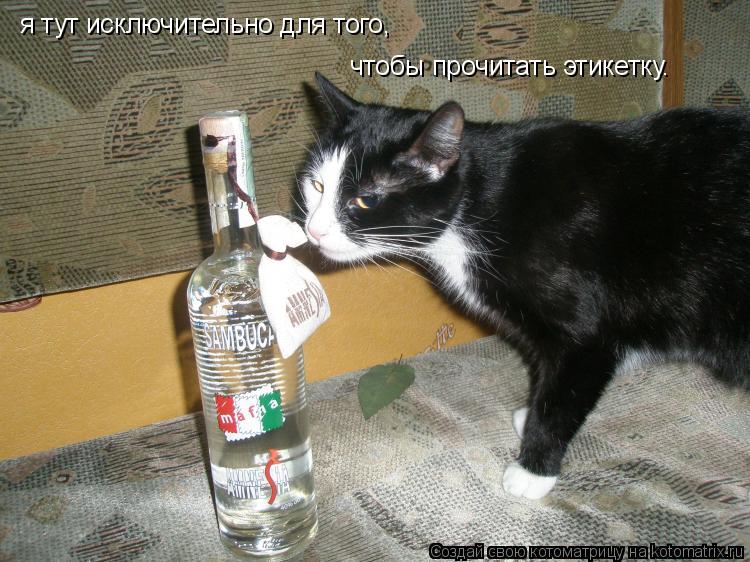 я тут исключительно для того, чтобы прочитать этикетку.... Котоматрица: я тут исключительно для того, чтобы прочитать этикетку.