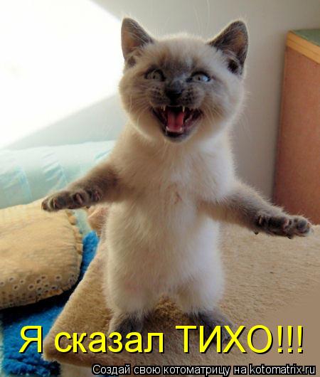 Я сказал ТИХО!!!... Котоматрица: Я сказал ТИХО!!!