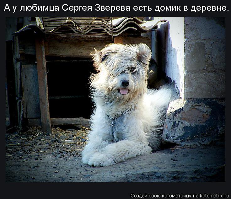 А у любимца Сергея Зверева есть домик в деревне.... Котоматрица: А у любимца Сергея Зверева есть домик в деревне.