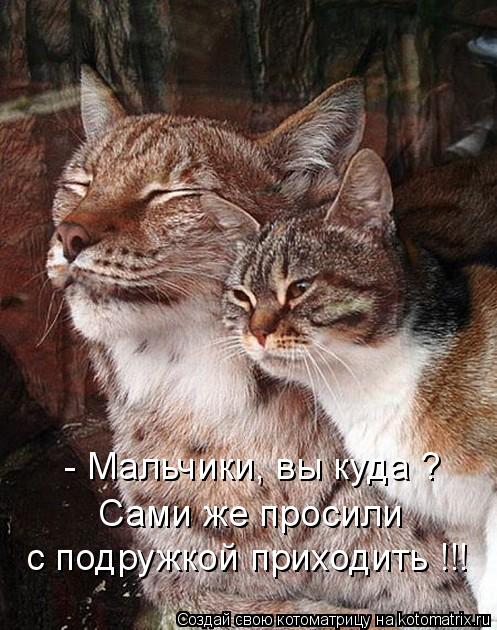 - Мальчики, вы куда ? Сами же просили с подружкой приходить !!!... Котоматрица: - Мальчики, вы куда ? Сами же просили с подружкой приходить !!!