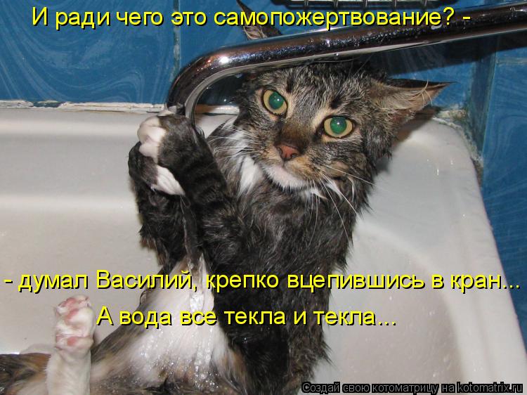 Котоматрица: А вода все текла и текла... И ради чего это самопожертвование? -  - думал Василий, крепко вцепившись в кран...