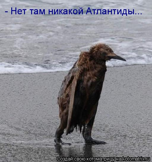 - Нет там никакой Атлантиды...... Котоматрица: - Нет там никакой Атлантиды...
