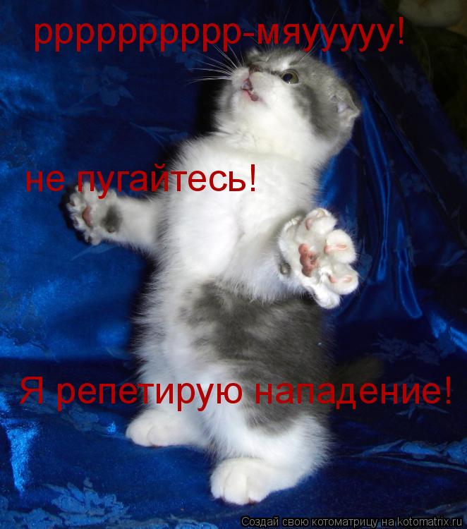 рррррррррр-мяууууу! не пугайтесь! Я репетирую нападение! А-то собаки задолбали!... Котоматрица: рррррррррр-мяууууу! не пугайтесь! Я репетирую нападение! А-то собаки задолбали!