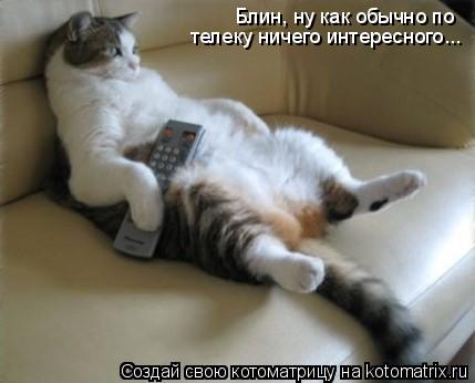 Блин, ну как обычно по телеку ничего интересного...... Котоматрица: Блин, ну как обычно по телеку ничего интересного...