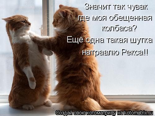 Значит так чувак где моя обещенная колбаса? Ещё одна такая шутка натравлю Рекса!!... Котоматрица: Значит так чувак где моя обещенная колбаса? Ещё одна такая шутка натравлю Рекса!!