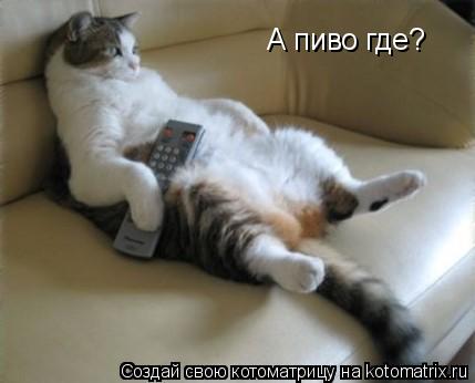 А пиво где?... Котоматрица: А пиво где?