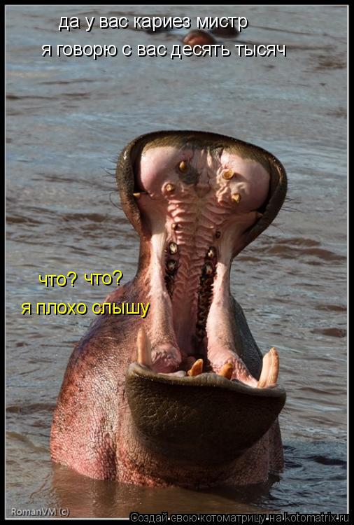 да у вас кариез мистр что? что? я плохо слышу я говорю с вас десять тысяч... Котоматрица: да у вас кариез мистр что? что? я плохо слышу я говорю с вас десять тысяч