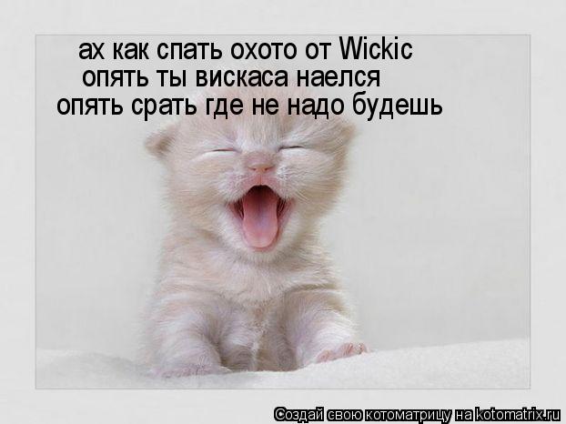 ах как спать охото от Wickic опять ты вискаса наелся опять срать где не надо будешь... Котоматрица: ах как спать охото от Wickic опять ты вискаса наелся опять срать где не надо будешь
