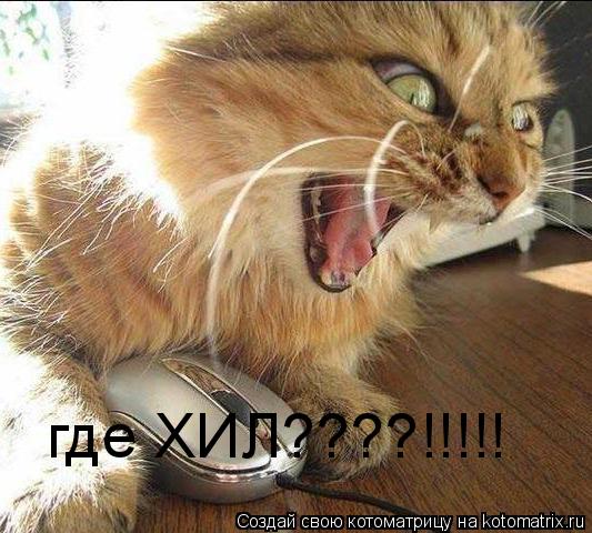 где ХИЛ????!!!!!... Котоматрица: где ХИЛ????!!!!!