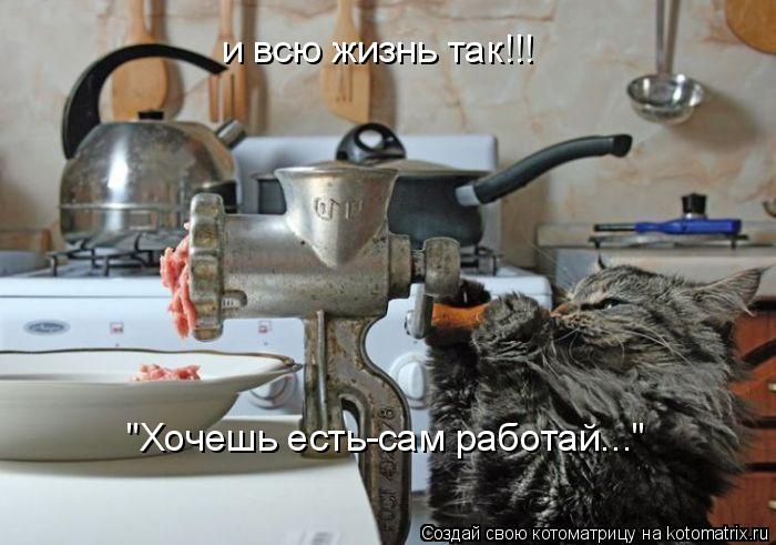и всю жизнь так!!! "Хочешь есть-сам работай..."... Котоматрица: и всю жизнь так!!! "Хочешь есть-сам работай..."