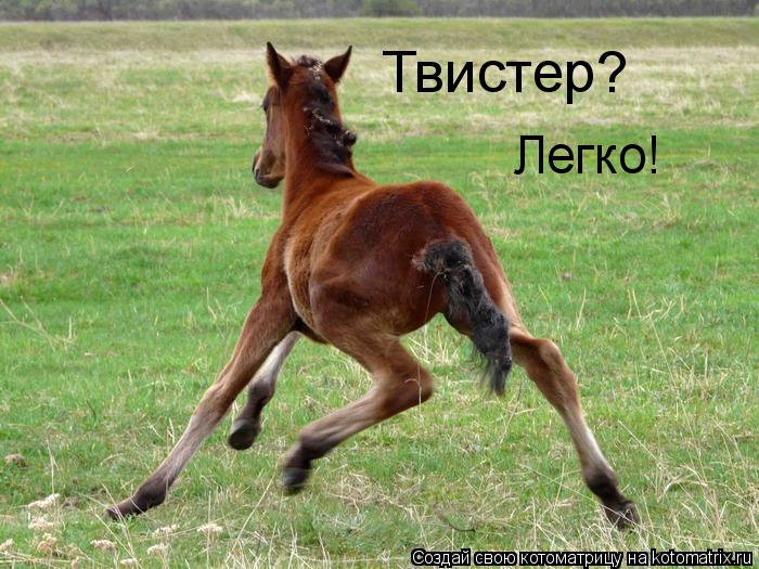 Твистер? Легко!... Котоматрица: Твистер? Легко!