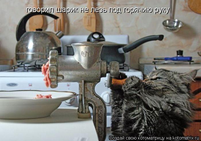 говорил шарик не лезь под горячию руку... Котоматрица: говорил шарик не лезь под горячию руку