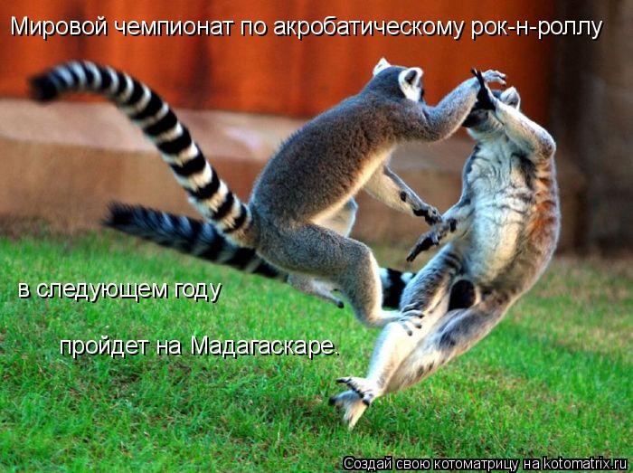 Мировой чемпионат по акробатическому рок-н-роллу в следующем году пройдет на Мадагаскаре.... Котоматрица: Мировой чемпионат по акробатическому рок-н-роллу в следующем году пройдет на Мадагаскаре.