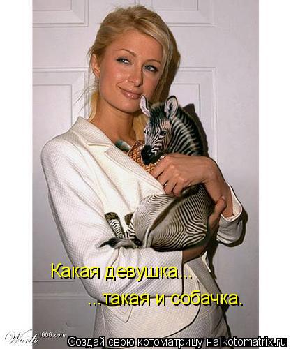 Какая девушка... ...такая и собачка.... Котоматрица: Какая девушка... ...такая и собачка.