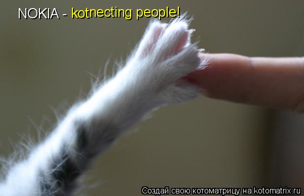 NOKIA - kot necting people!... Котоматрица: NOKIA - kot necting people!