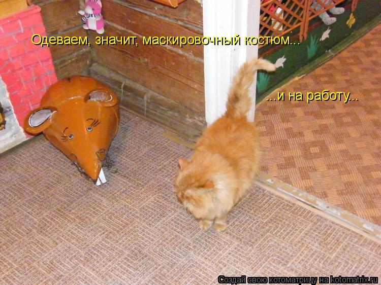 Одеваем, значит, маскировочный костюм... ...и на работу...... Котоматрица: Одеваем, значит, маскировочный костюм... ...и на работу...