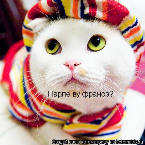 Парле ву франсэ?... Котоматрица: Парле ву франсэ?